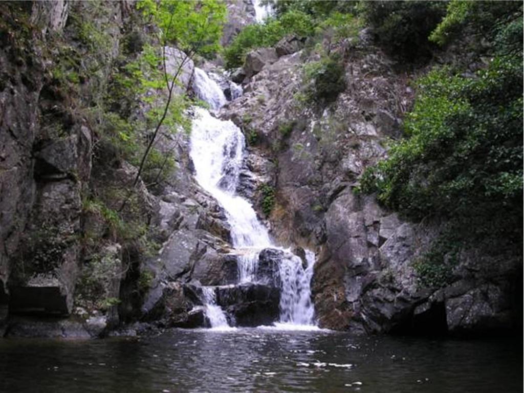 Borgo Della Longevita Panzió Bivongi Kültér fotó